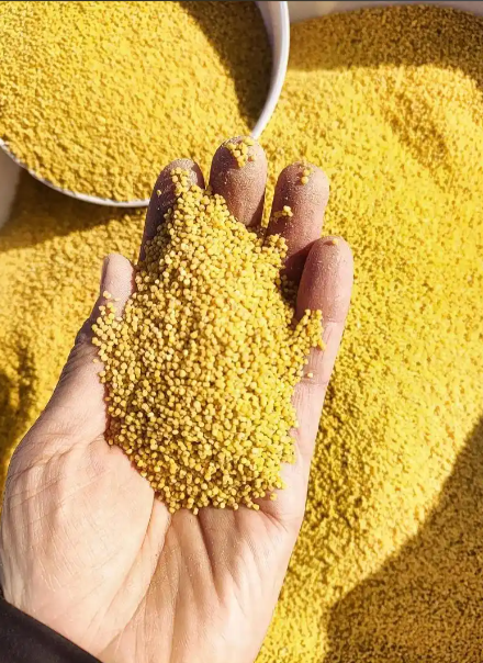 1765592903990678.png 小米002.png